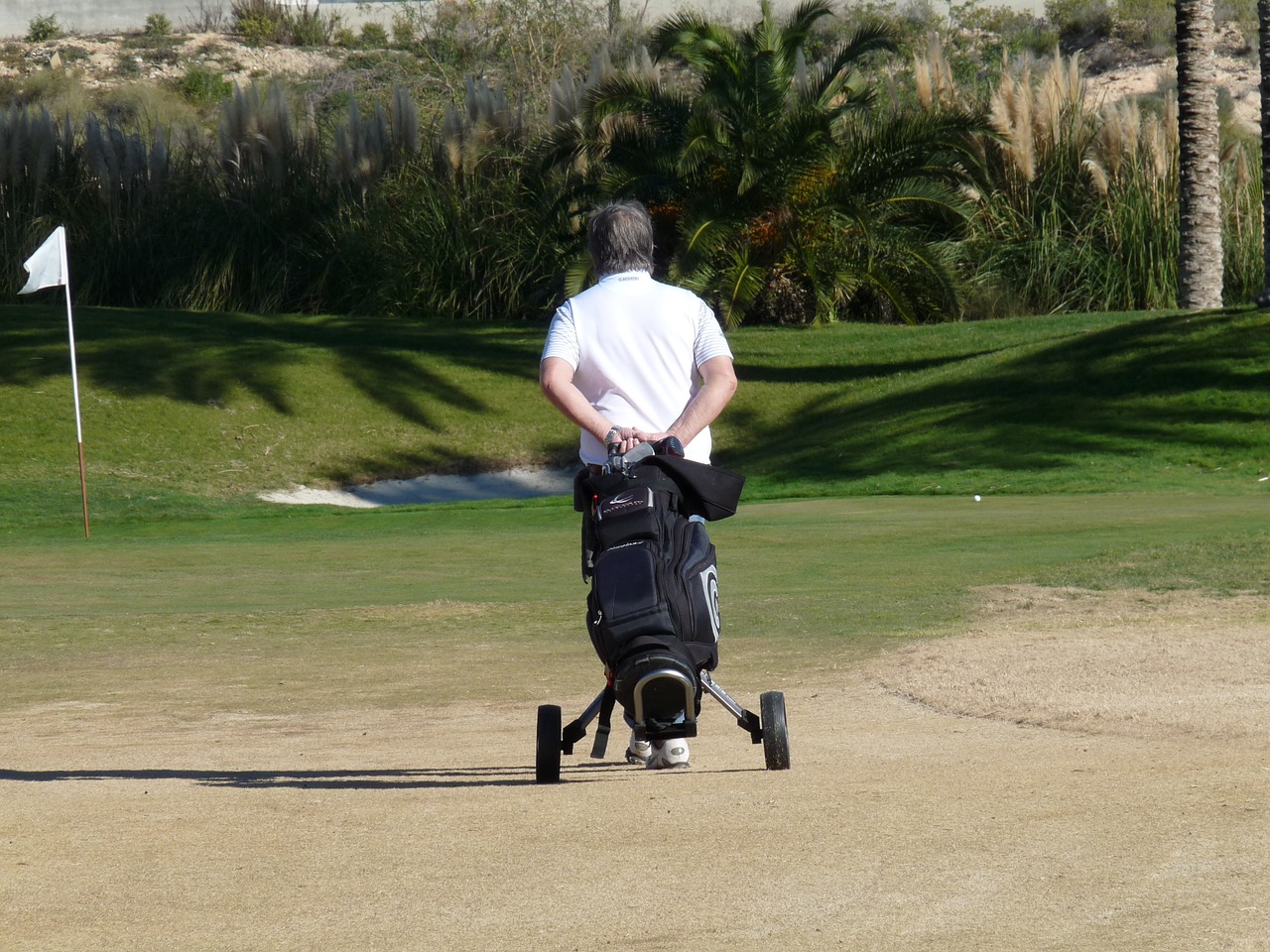 chariot de golf électrique